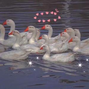 欧美做受XXXⅩ高潮喷水漫画
