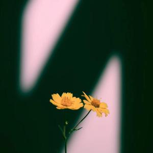 欧美做受XXXⅩ高潮喷水漫画
